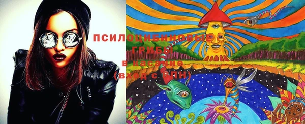 спайс Алексин