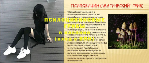 винт Алзамай